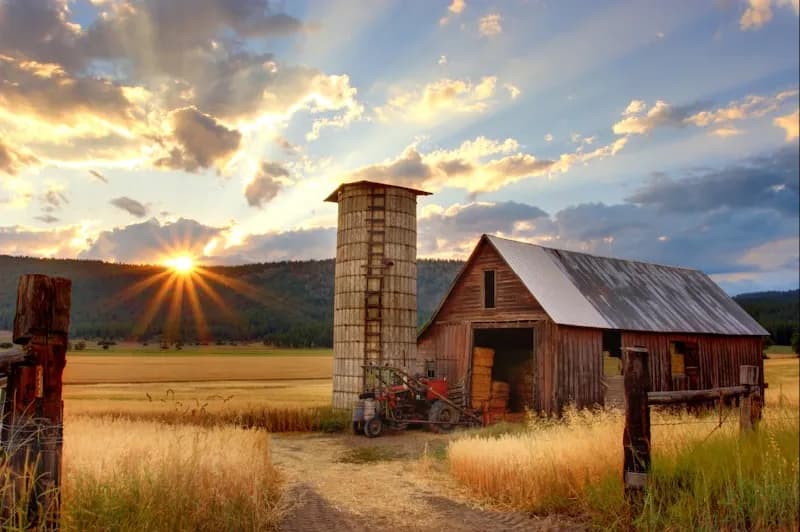 Agricultural Farmland